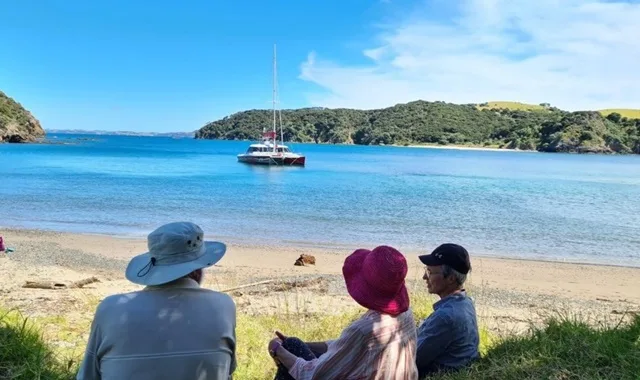 Bay of Islands Dolphin Cruise & Wildlife Guided Day Trip