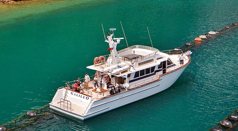 Greenshell Mussel Cruise Marlborough