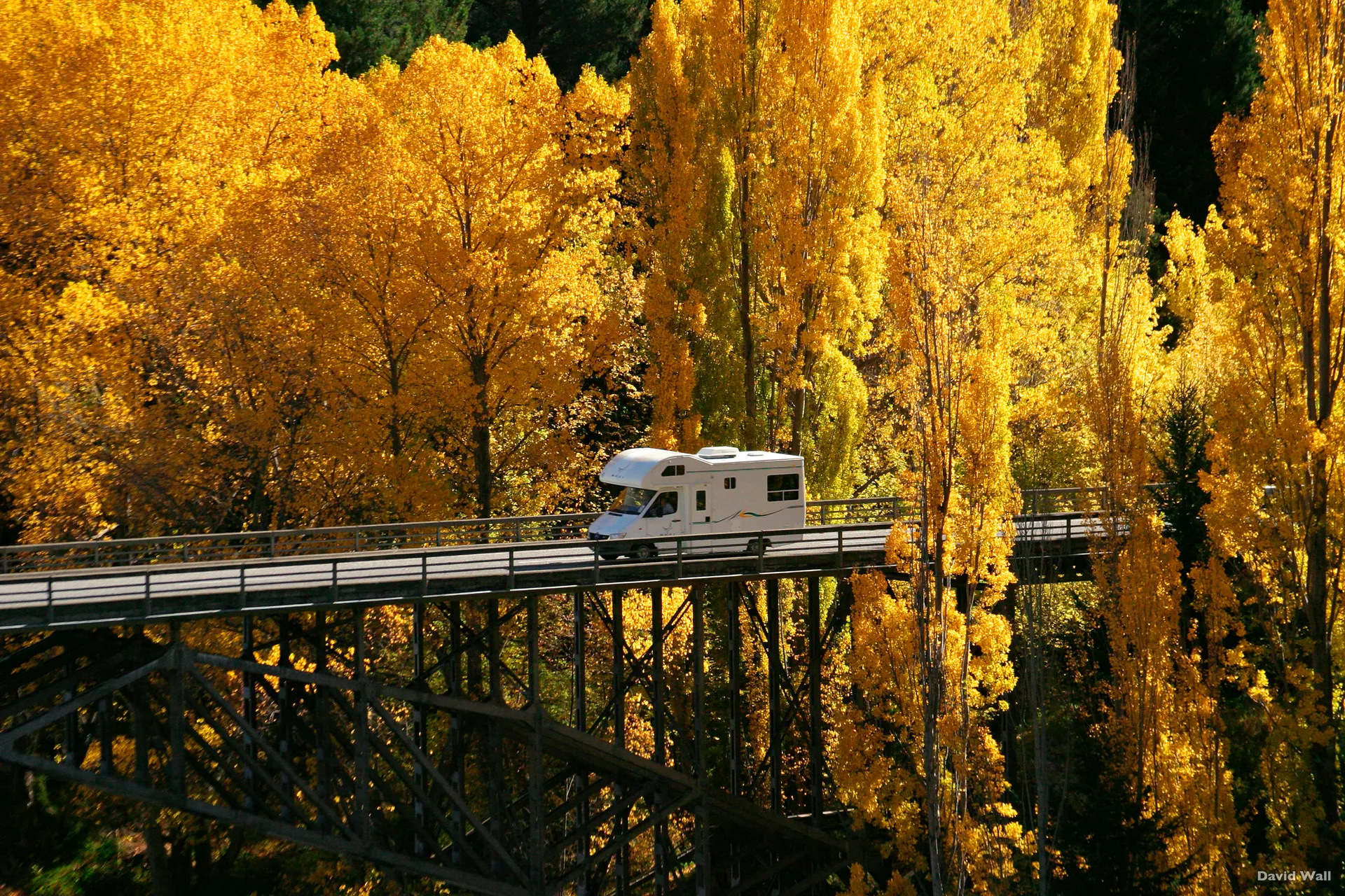 New-Zealand-Motorhome-Holidays-victoria-bridge-kawarau-Credit-David-Wall