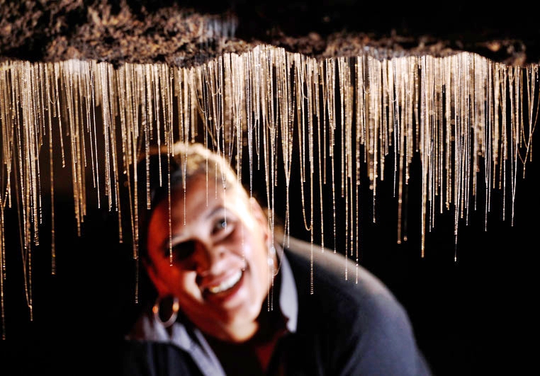 Waitomo Glowworm Caves Guided Tour