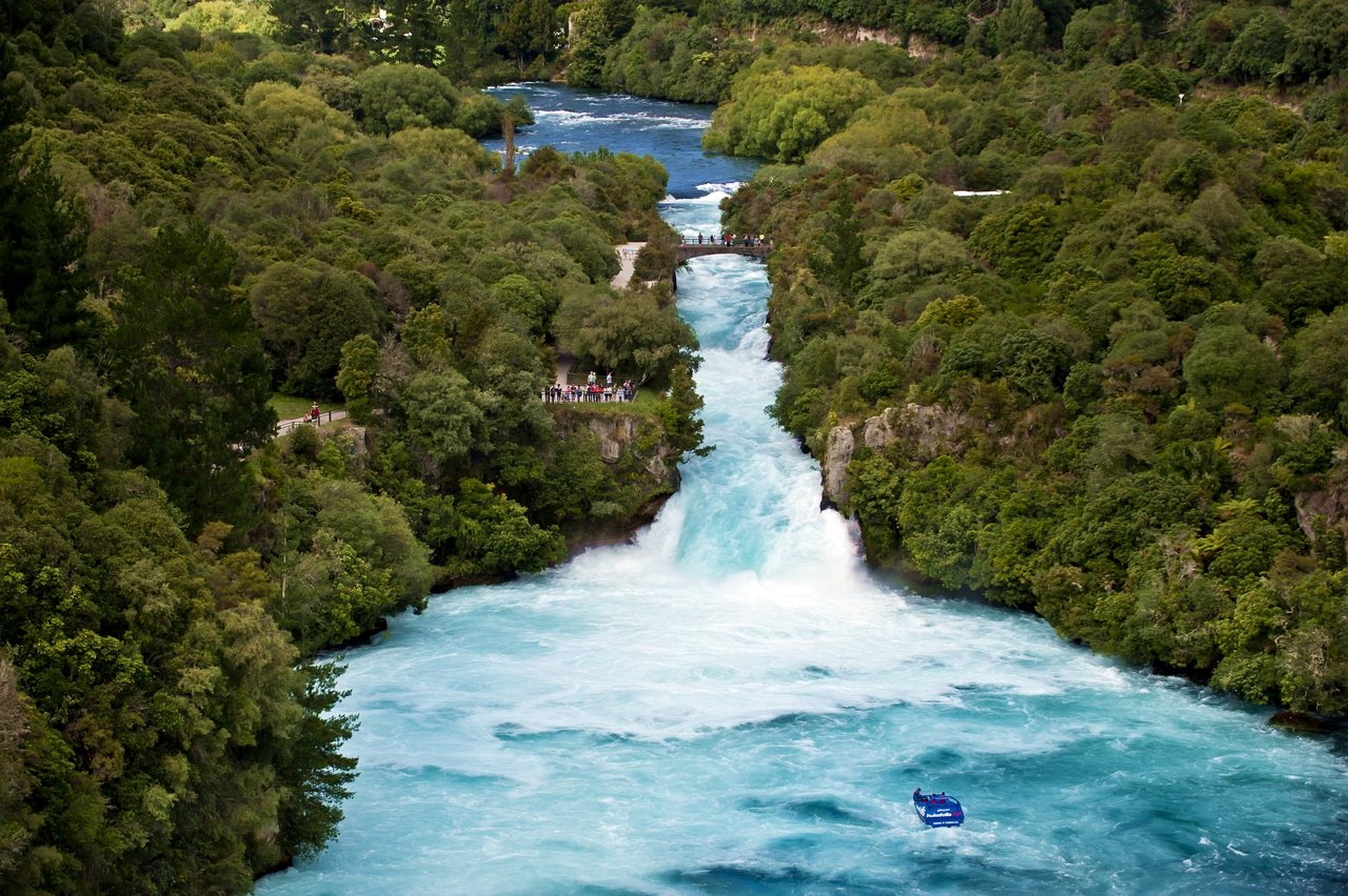 8 Day North Island Guided Coach Tour: Pukeko