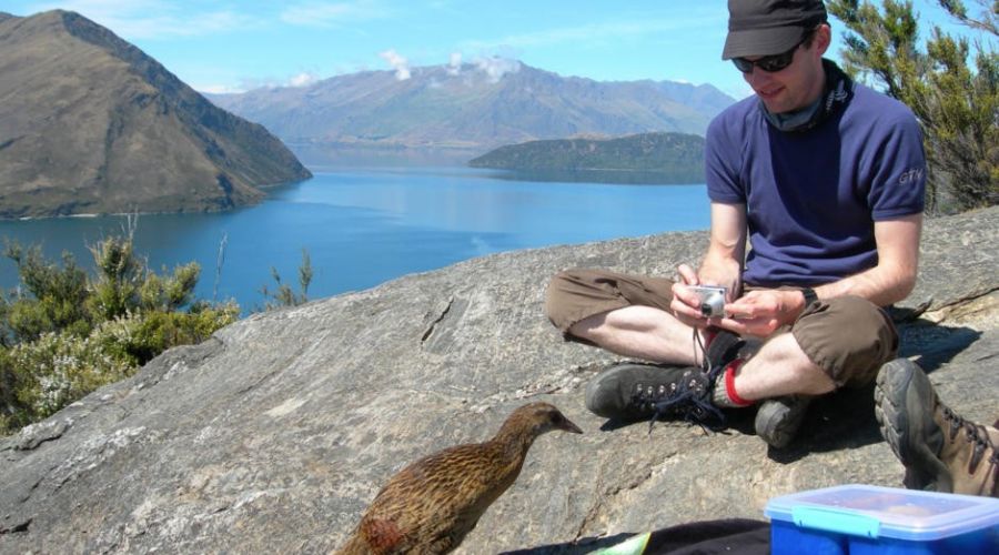 Lake Cruise & Island Nature Walk – Lake Wakatipu