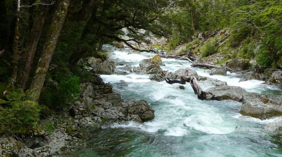 Routeburn Guided Walk Full Day