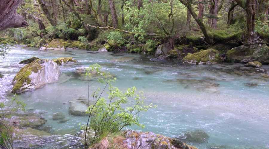Routeburn Guided Walk Full Day