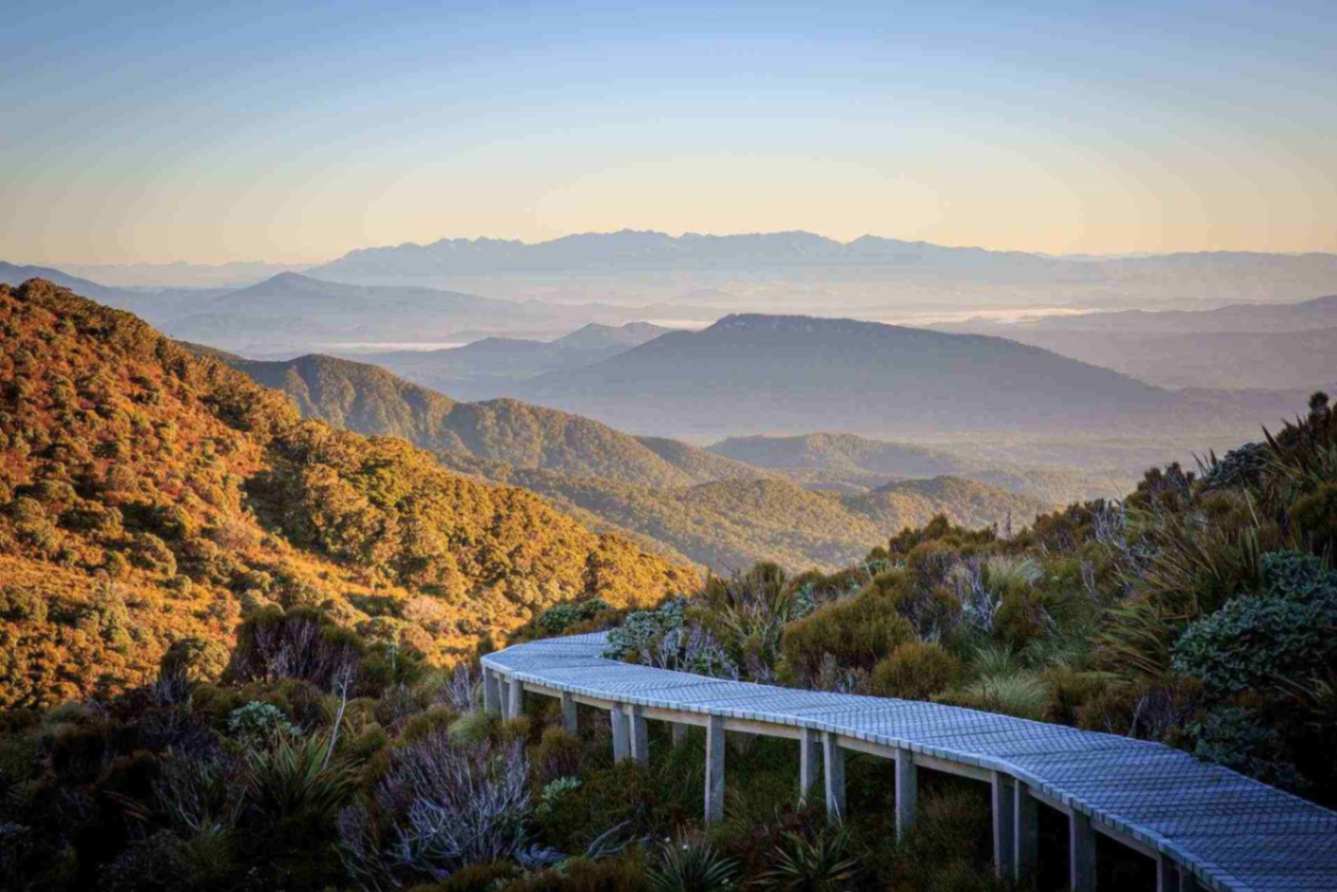 South Island New Zealand Tours, Hump Ridge Track, Southland, Photo Credit: Liz Carlson