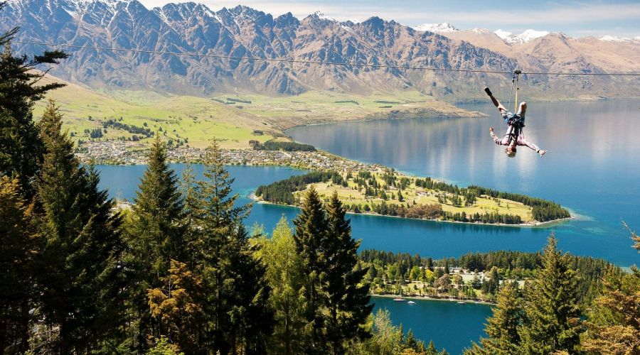 Ziplining - Zip & Drop