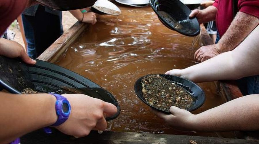 Goldfields Experience: Relive New Zealand’s Gold Rush Heritage