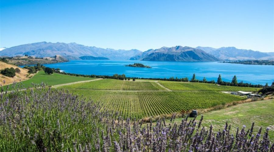 Taste of Wanaka: A Culinary and Scenic Delight