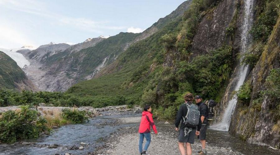 Franz Josef Nature Tour Guided Walk