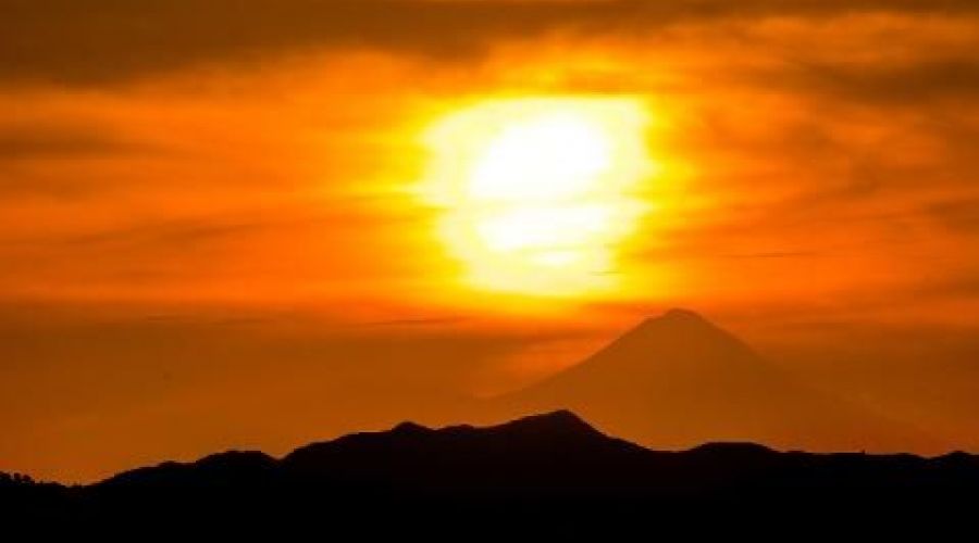 2-Hour Pre-Sunset Guided Nature Walk