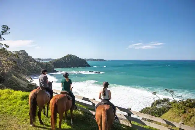 Best Time to Visit New Zealand: Month-by-Month ❤️ NZ Tourism ...