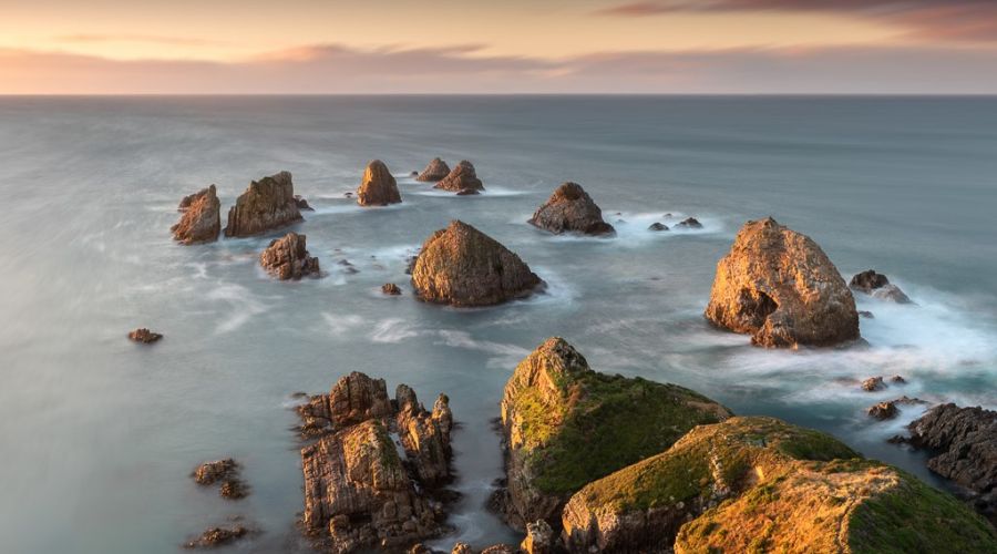 Catlins Experience Private Tour