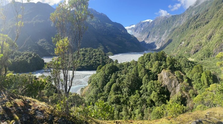 Franz Josef Nature Tour Guided Walk: New Zealand’s Rainforest and Glaciers