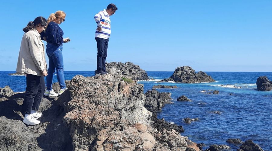 From Cave to Coast Wellington Highlights Tour