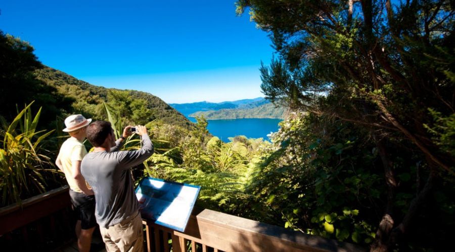 Furneaux Lodge to Punga Cove