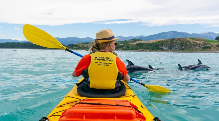 Guided Half Day Sea Kayaking
