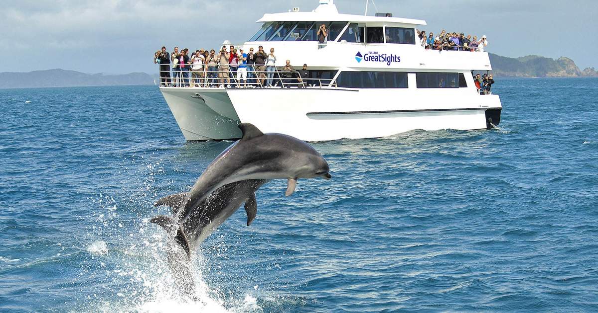 Hole in the Rock Dolphin Cruise