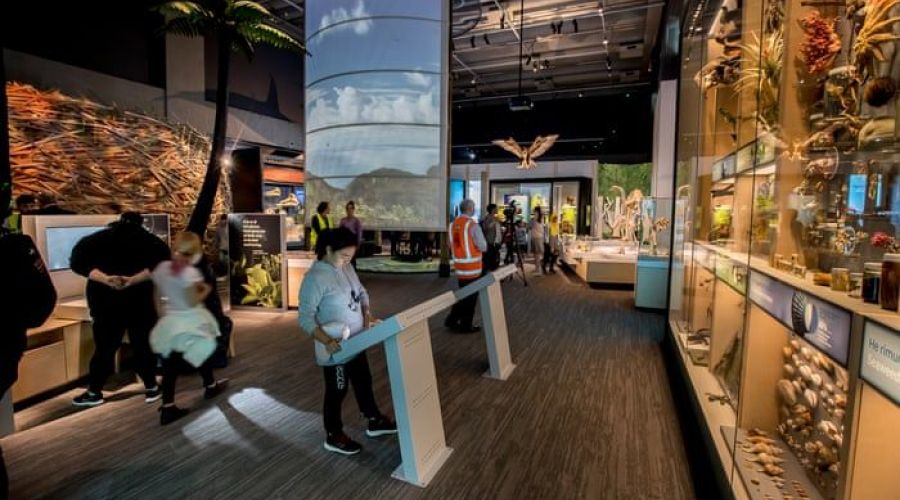 Introducing Te Papa Tour