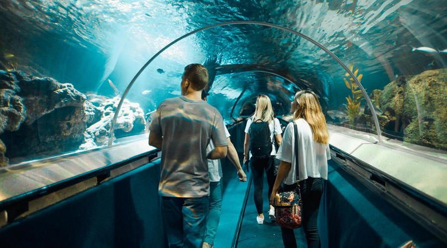 Kelly Tarltons SEA LIFE Aquarium