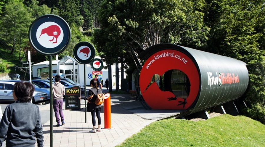 Kiwi Park Admission: Discover New Zealand’s Unique Wildlife