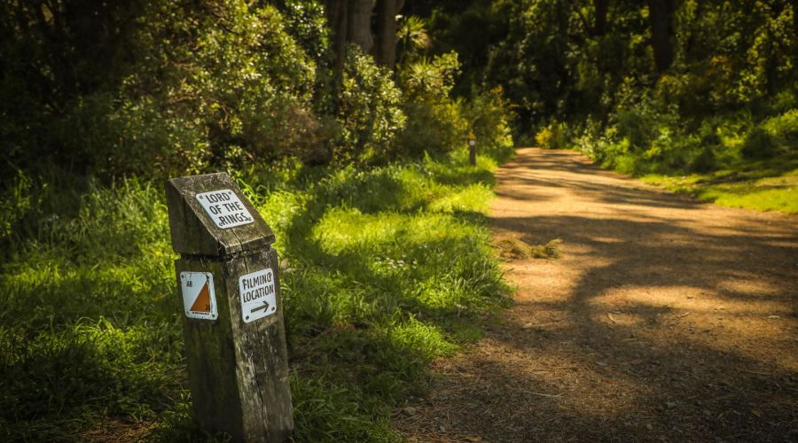 Lord of the Rings Half-Day Tour