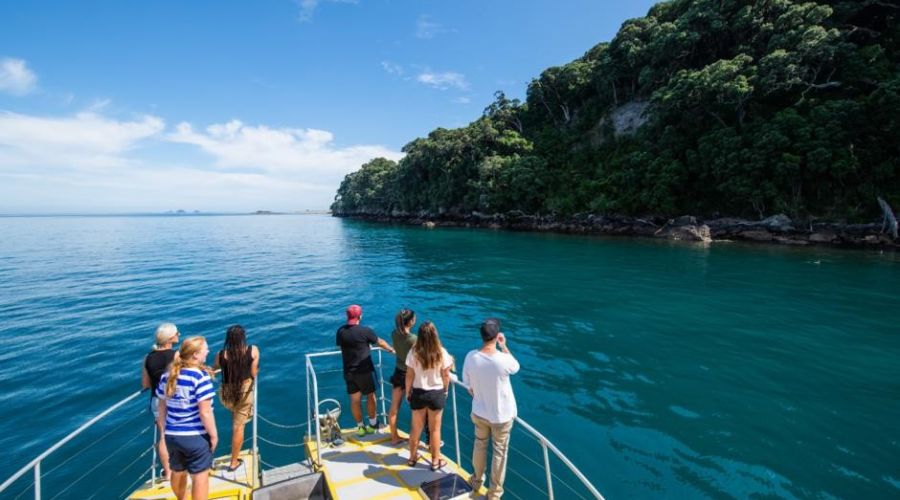 Moutohora (Whale Island) Sanctuary Tour – Whakatane