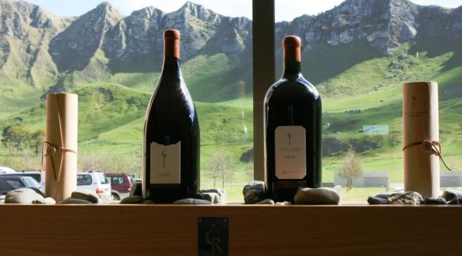 Panoramic Taste of Wine Tour