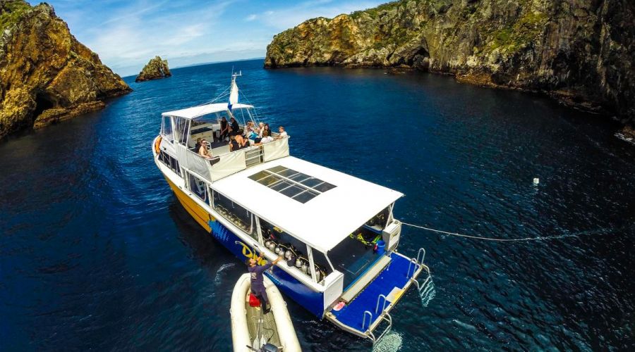 Perfect Day Ocean Cruise - Tutukaka