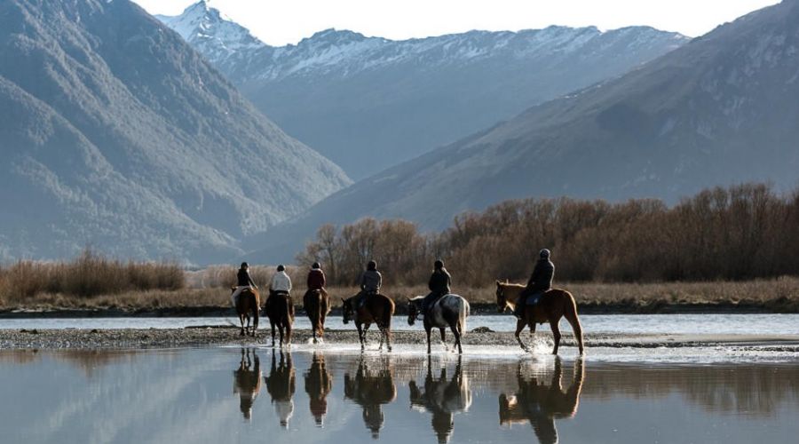 Rees River Trail: A Scenic Adventure Through Queenstown’s Backcountry