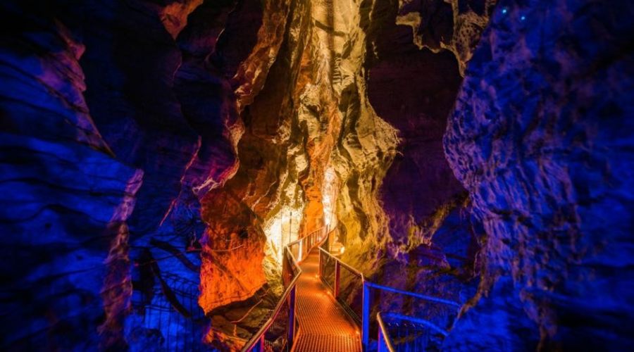 Ruakuri Cave Guided Walking Tour