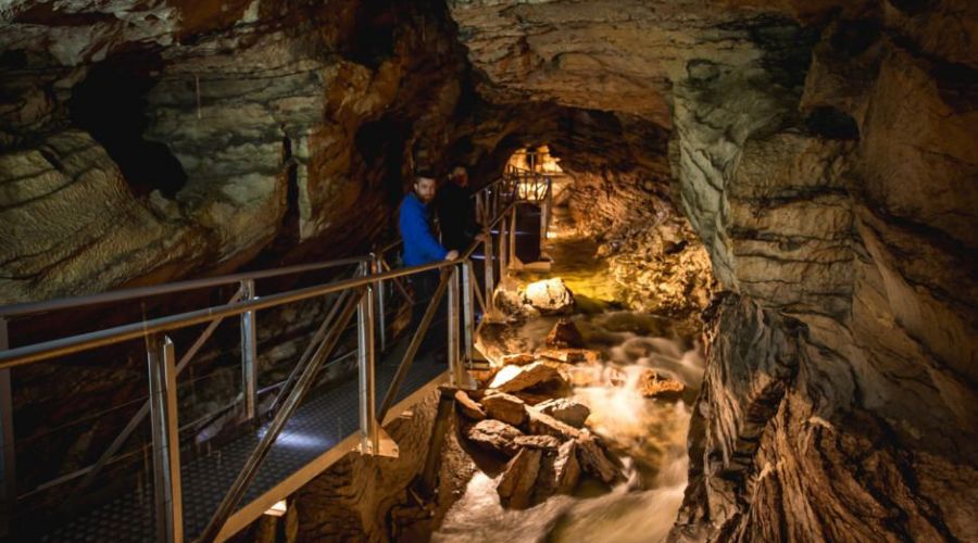 Te Anau Glowworm Caves Tour