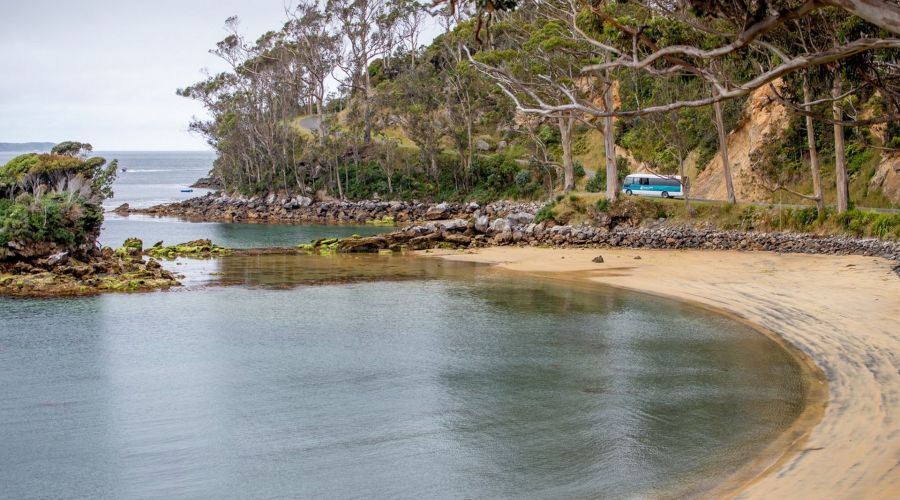 Village and Bays Tour: Discover the Stewart Island ‘s Coastal Charm