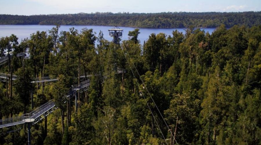 Zipline and Walk Combo