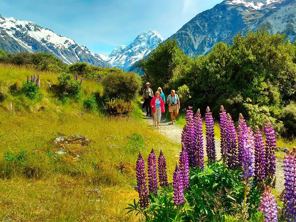 Aoraki Mt Cook National Park