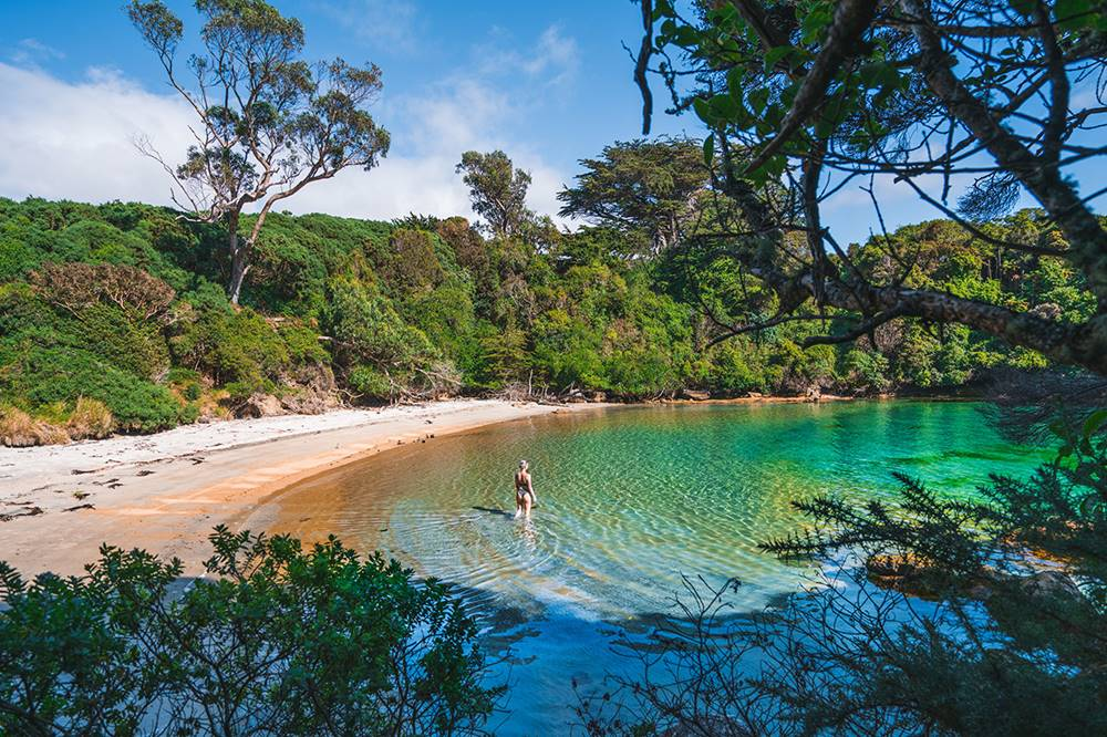 13 Day South Island Coach Tour: Sensational Southland