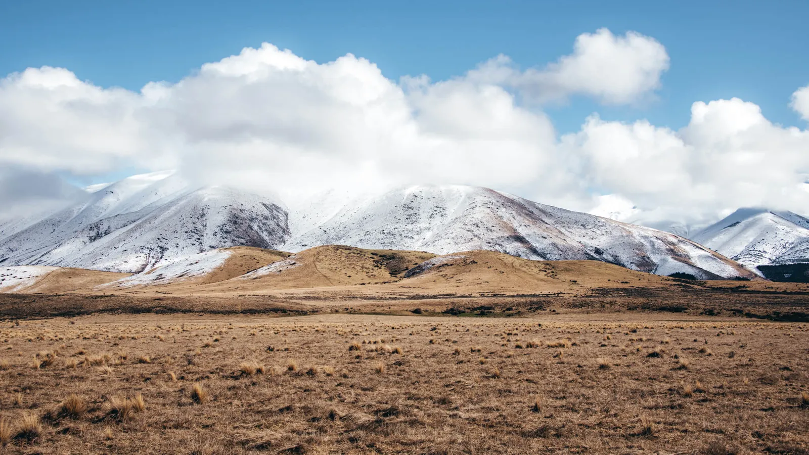 Pelennor Fields - Gondor, Photo Credit: ChristchurchNZ