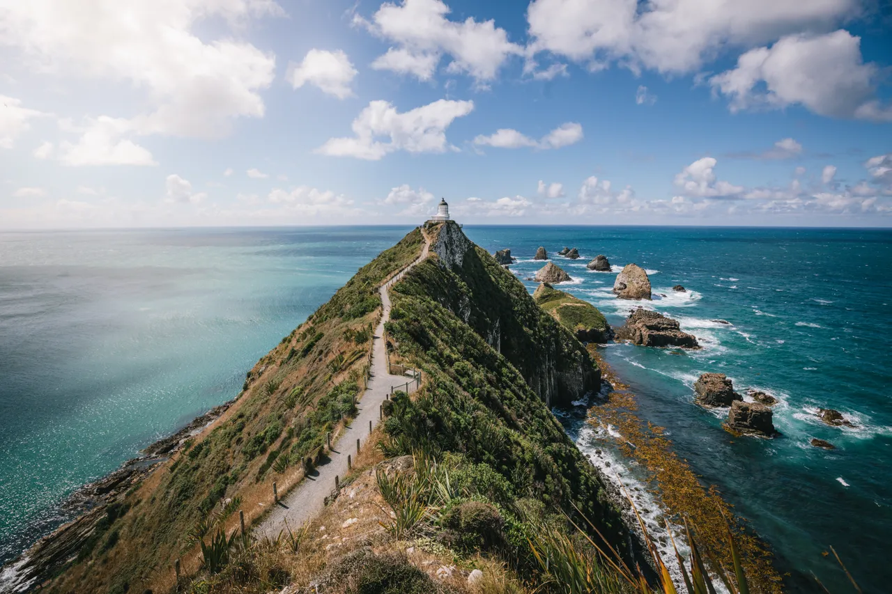 Nugget Point Southland, New Zealand, Photo Credit: Liz Carlson