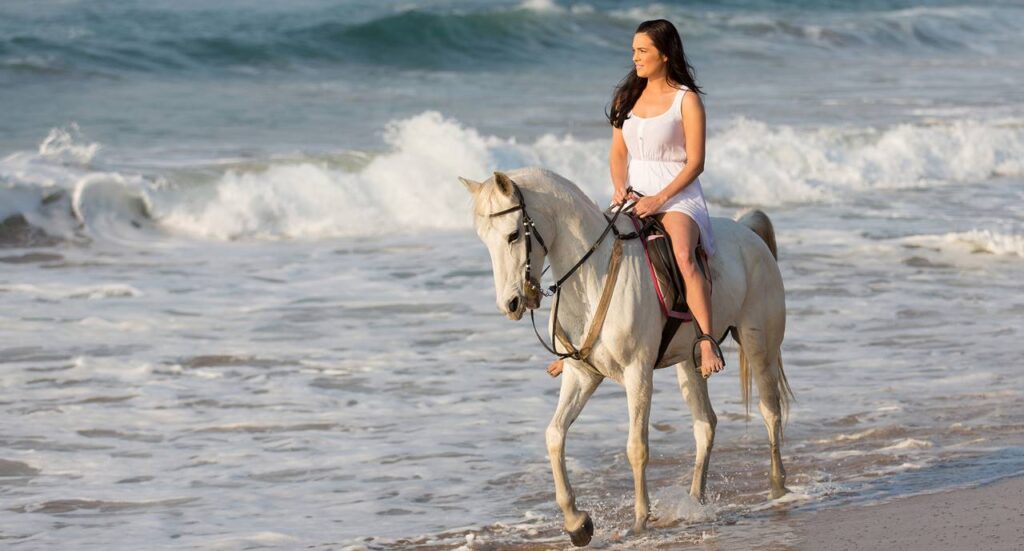 New Zealand Honeymoon packages, Photo Credit: Michael Zhang (michaeljung - Fotolia)