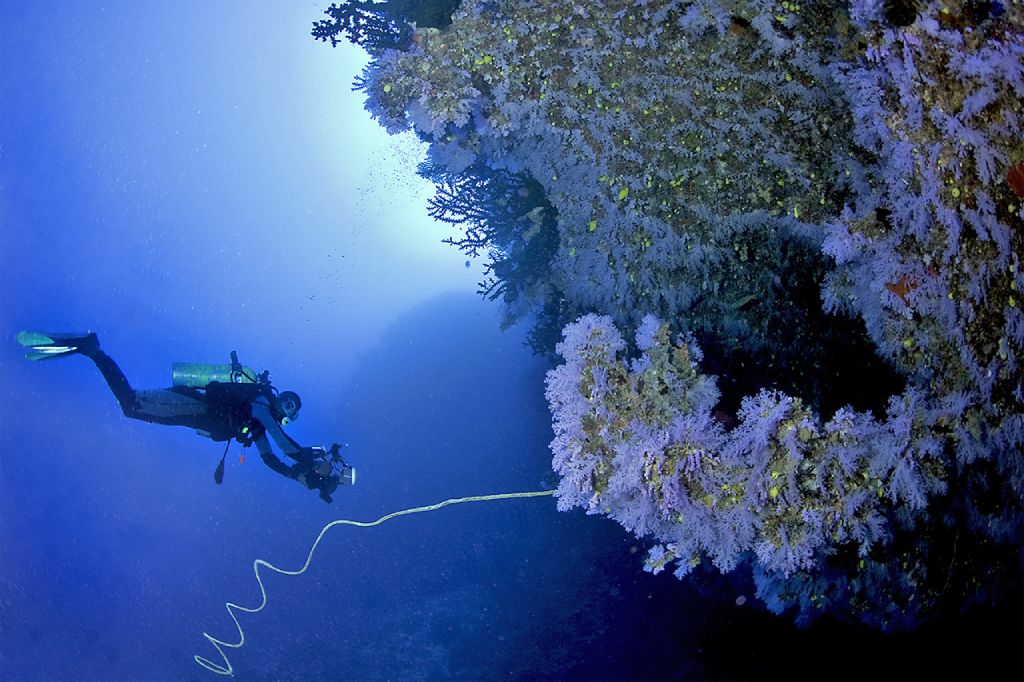 8‑Day Luxury Fiji Diving Escape
