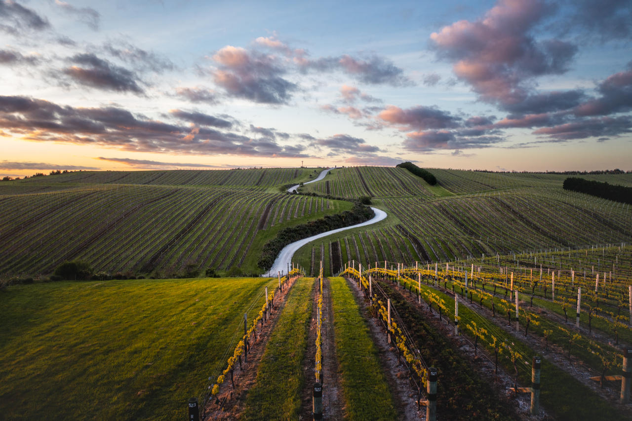 New Zealand Wine Tours