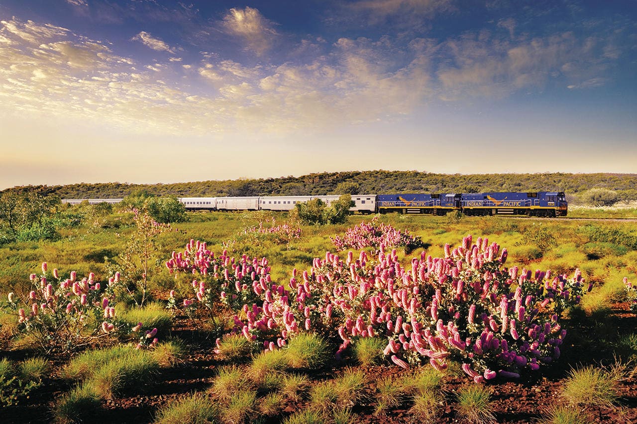 Indian Pacific train tour