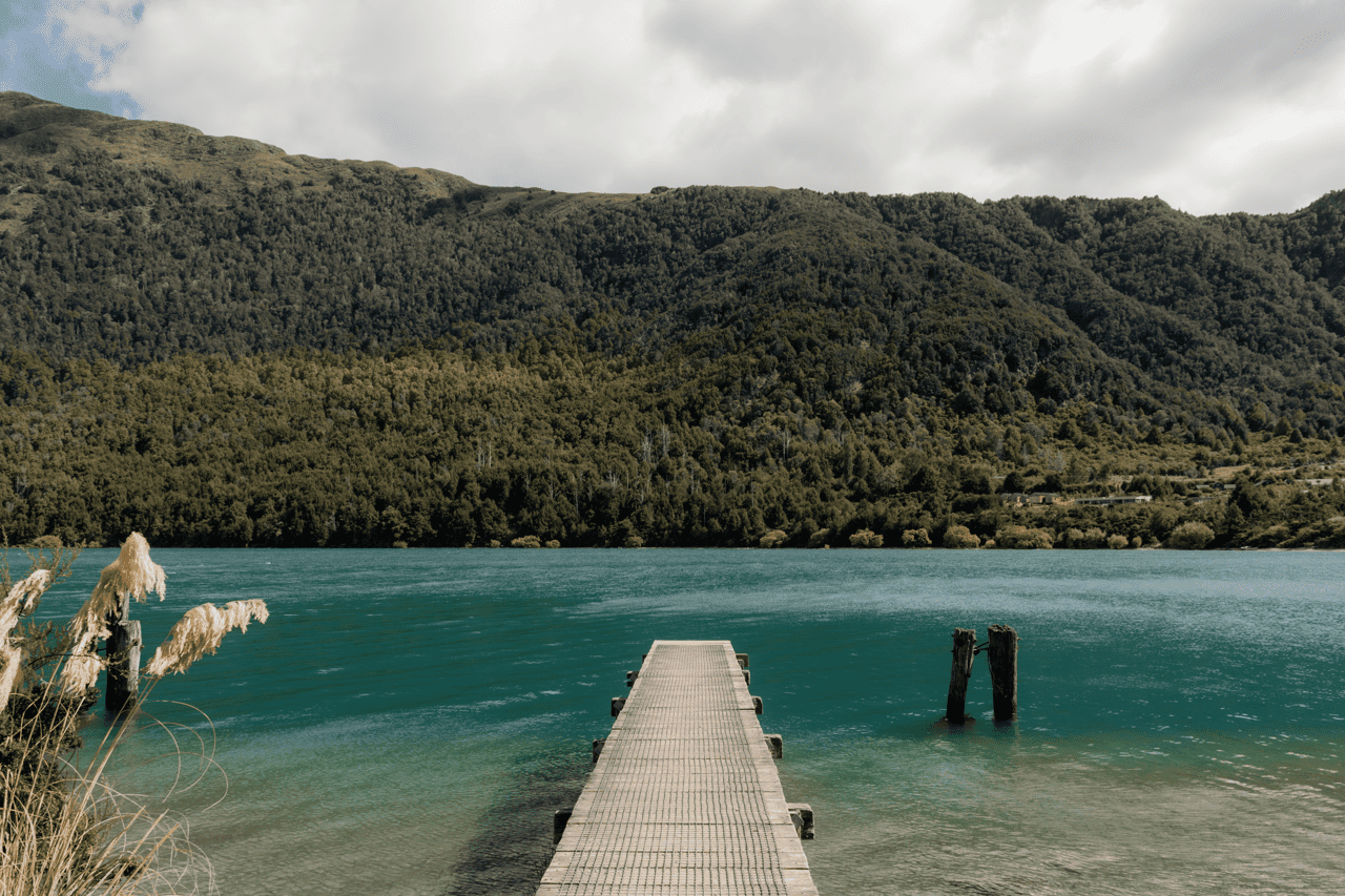 Lake Wakatipu and Bob's Cove