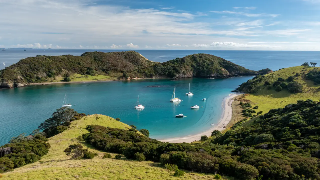 11 Day New Zealand Coastal Discovery Small Group Tour