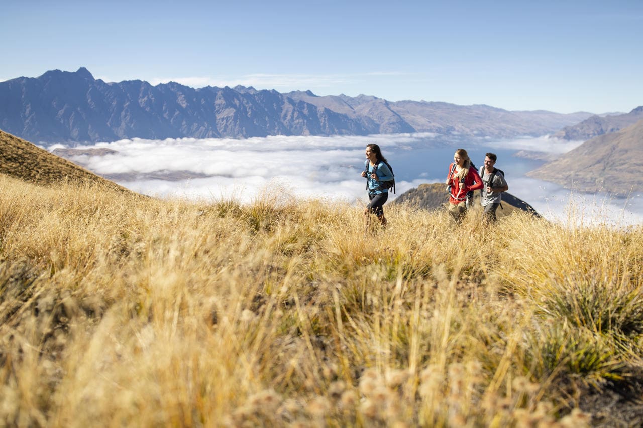 Ben Lomond Track