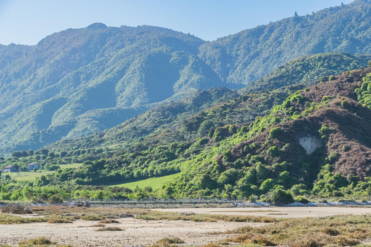 Hills in Abel Tasman National Park