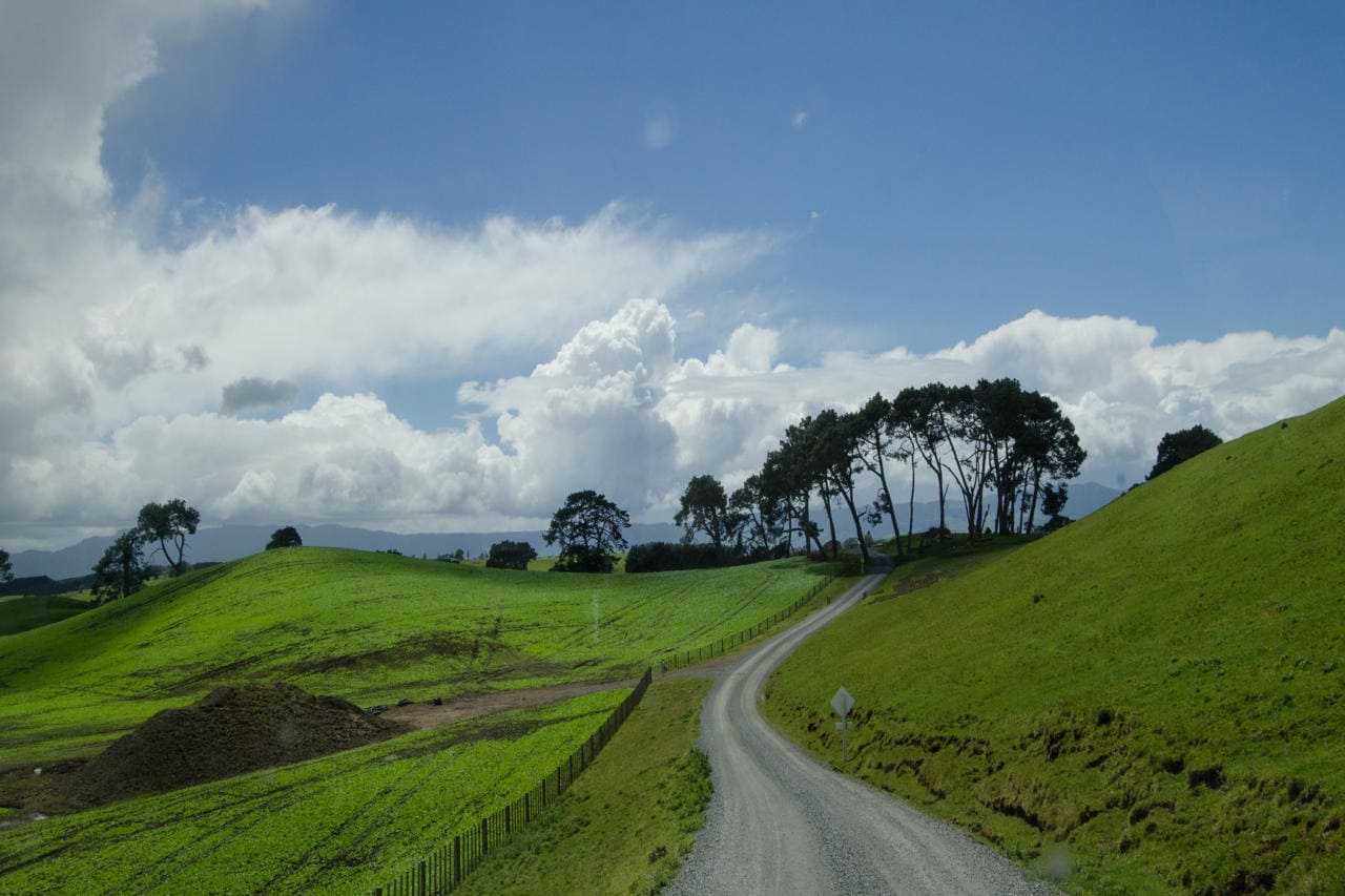 Matamata Beyond the Movie Set