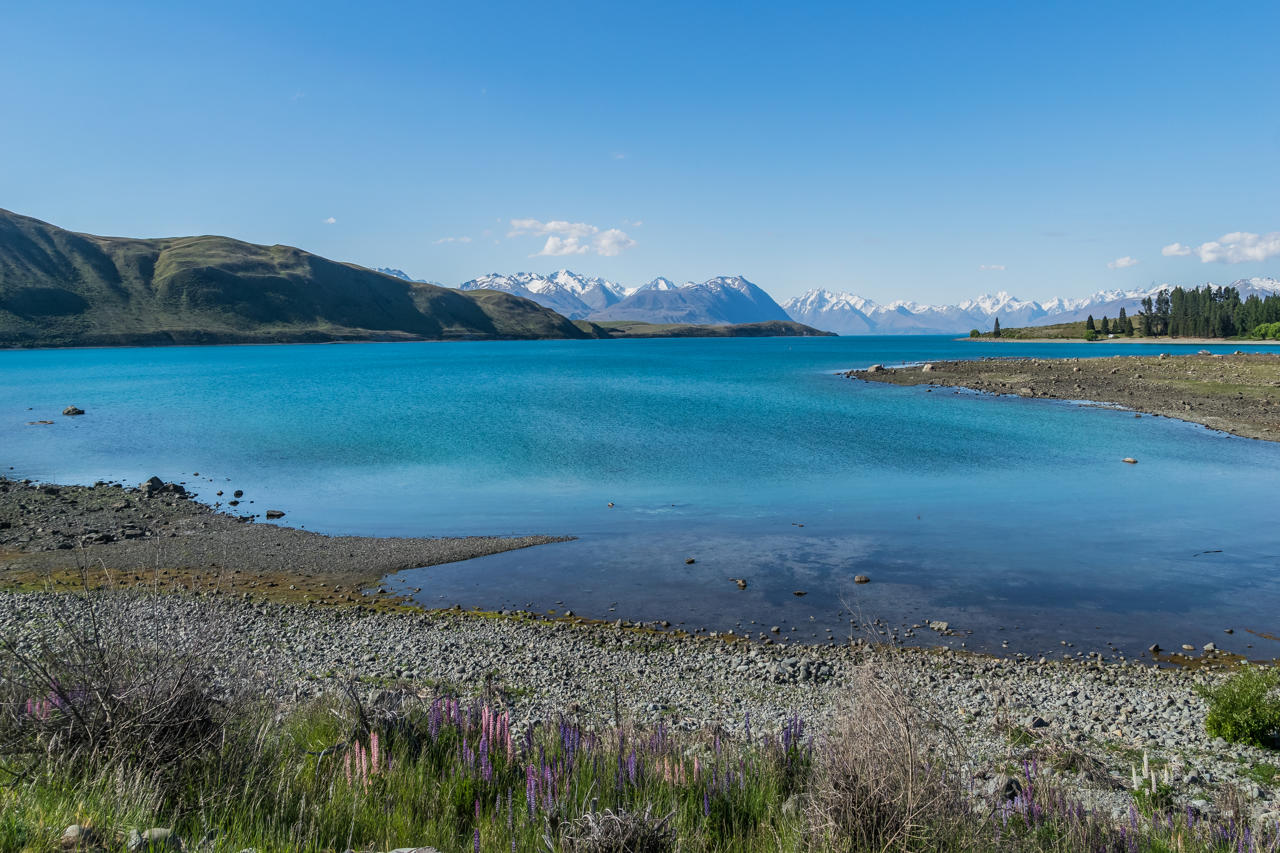 7 Day South Island Backpacker Tour: Budget Adventure