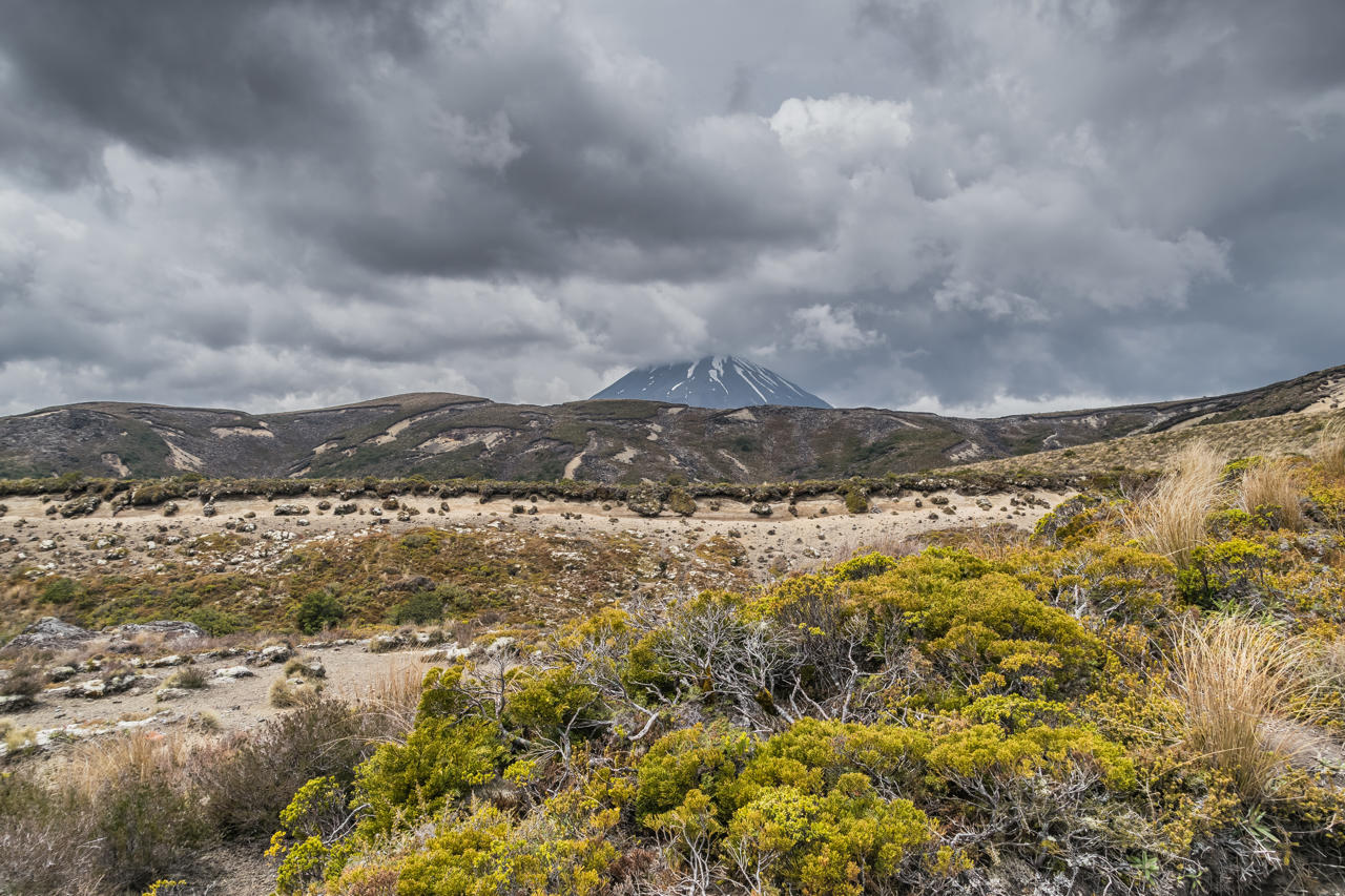 Tongariro National Park