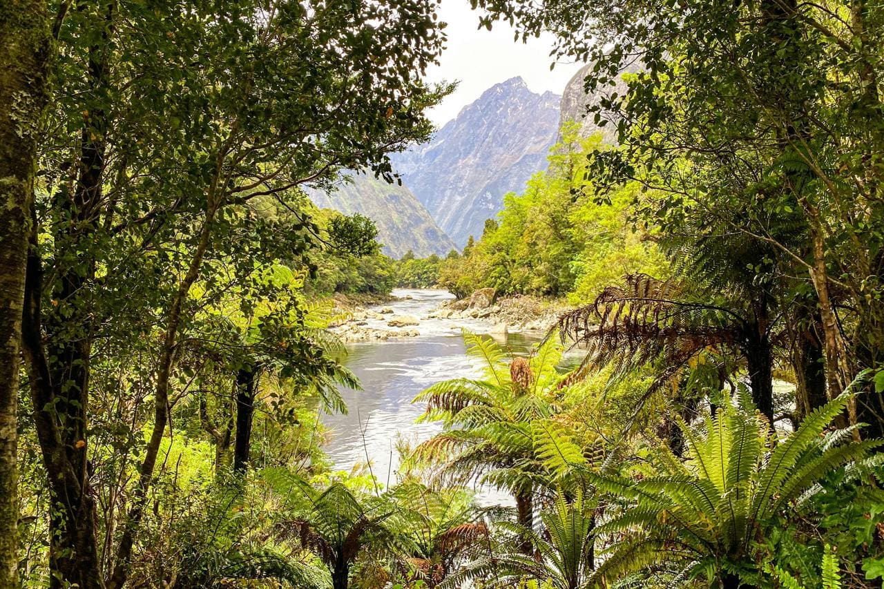 Milford Track, Fiordland National Park, New Zealand