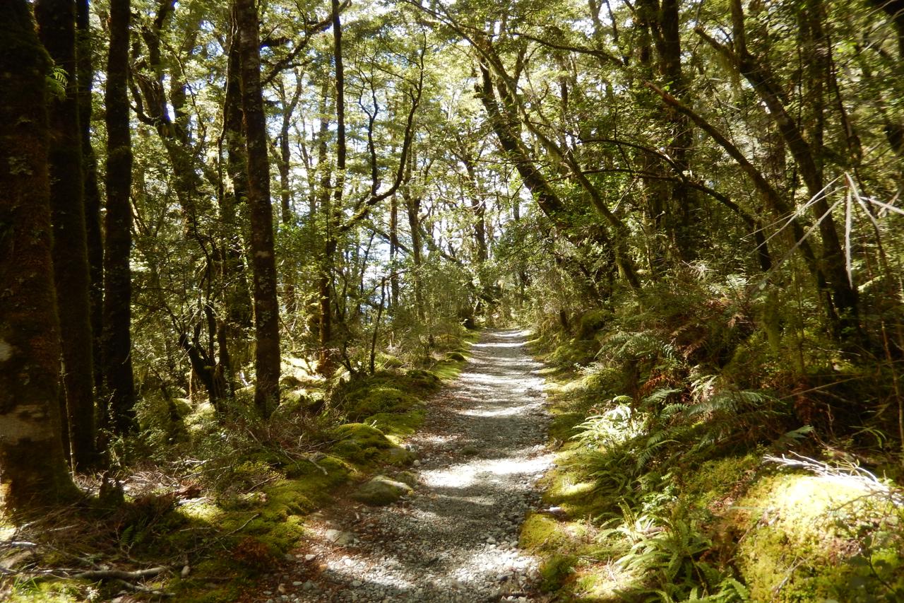 Things to Do When Visiting New Zealand